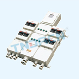 BXX51 type explosion-proof power overhaul box (ⅡB, ⅡC)