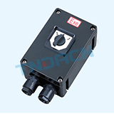 BHZ8050 type explosion-proof corrosion-proof conversion switch(ⅡC)
